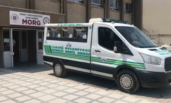 Ağıla giren eşini kurt sanıp öldürdü!