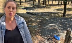Mutlu'nun öldürülmesiyle ilgili ağabeyi ve 4 kişi tutuklandı
