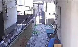 Hurdacının cesareti pes dedirtti