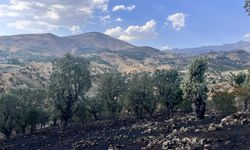Siirt’te 5 ayrı noktada yangın alarmı