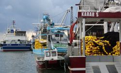 Trabzon’da balıkçıların deniz mesaisi başlıyor