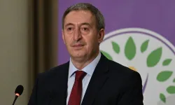 "Demirtaş ve Yüksekdağ siyasi hayata katılacak"