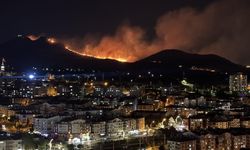 Ankara'da ağaçlık alanda çıkan yangına müdahale ediliyor
