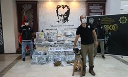 Sınır kapısında yüklü miktarda skunk ele geçirildi!