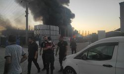 Bolu'da geri dönüşüm fabrikasında yangın