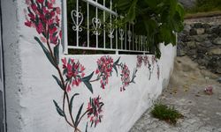 Köyün eski duvarlarını fırçasıyla çiçek bahçesine çeviriyor