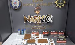 Bartın merkezli dev operasyon: 26 gözaltı