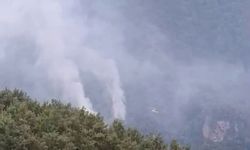 Hatay'da orman yangını