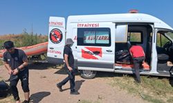 Dicle Nehrinde mahsur kalan 52 küçükbaş hayvan 3 gün sonra kurtarıldı