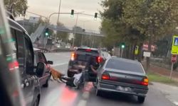 Vatandaşı ayağından ısırıp sürüklediği anlar kamerada!