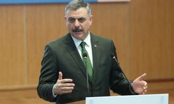 640 organize suç örgütü üyesinin Türkiye’ye iadesi sağlandı!