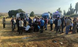 Diyarbakır'da otomobil devrildi: 9 yaralı