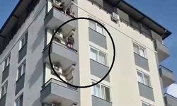 Böcek korkusundan 4'ncü kattan atlayacaktı!
