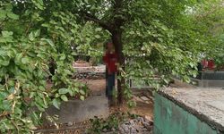 Diyarbakır'da bir kişi, mezarlıkta ağaca asılı halde ölü bulundu
