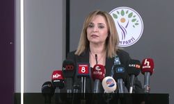DEM Parti Sözcüsü Doğan: Önümüzdeki günlerde silahsızlanmaya dair önemli gelişmeler bekliyoruz