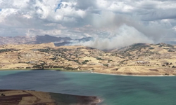 Tunceli'de yangın: Müdahale başladı