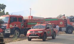 Evlerin yanında orman yangını çıktı
