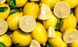 TİGEM 1010 ton interdonato limon satacak