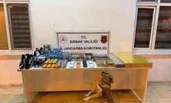 Şırnak’ta jandarmadan kaçakçılık operasyonu