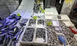 Karadeniz'de balık bolluğu tezgahlara yansıdı