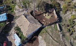 Kastamonu'da ahıra giren kurtlar 18 koyunu telef etti