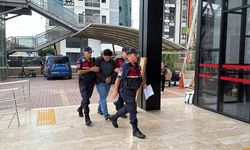 Kuşlara yönelik vahşetin görüntüleri ortaya çıktı: Şüpheli tutuklandı