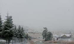 Bolu'nun yüksek kesimlerine kar yağdı