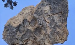 Tavşanlı Höyük 4 bin yıllık pati izleri bulundu!