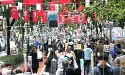 İzmit'te ağaçlar "kitap" açtı