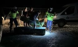 Kızıyla görüşen genci bıçaklayarak öldürdü!