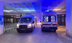 Göçmenleri taşıyan otomobil tarlaya devrildi: 10 yaralı