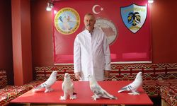 Emekli astsubay, 40 güvercini için ev kiraladı