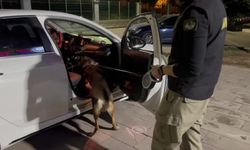 Otomobilden 110 bin uyuşturucu hap çıktı, 'bilgim yok' dedi!