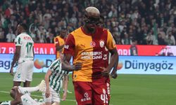 Aslan eze eze gidiyor