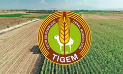 TİGEM, buğday, arpa ve narenciye satacak!