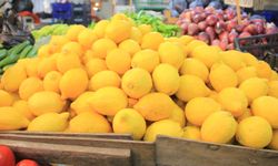 Üretici ile market arasındaki fiyat farkı dudak uçuklattı!