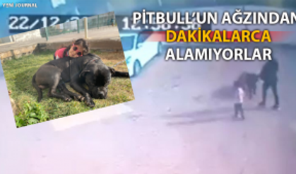 Minik Asiye'ye pitbull saldırısı kamerada