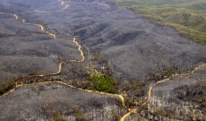 Marmaris'in ormanları yandı: Yürek yakan görüntü