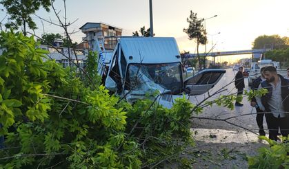 Ağaca çarpan kamyonet ikiye bölündü