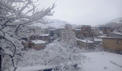 Hakkari kar hapsinde: Okullar tatil edildi!