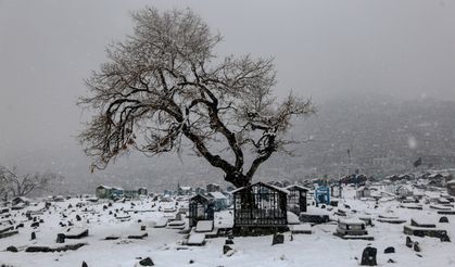 Soğuk hava nedeniyle 60 kişi hayatını kaybetti