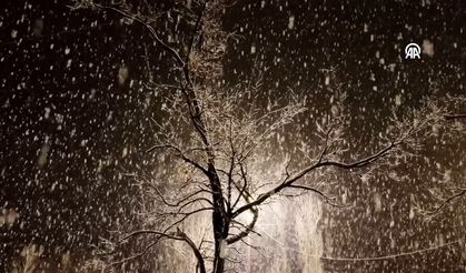 Van'da gece lapa lapa kar yağdı!