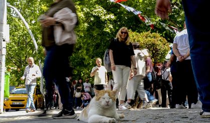 Ankara'da günlük yaşam