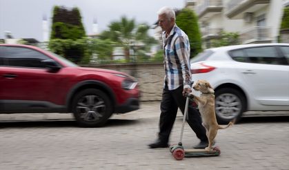 Sahiplendiği köpeği skuterle gezdirip salıncağa bindiriyor