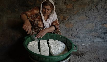 Göçerlerin yayla mesaisi başladı