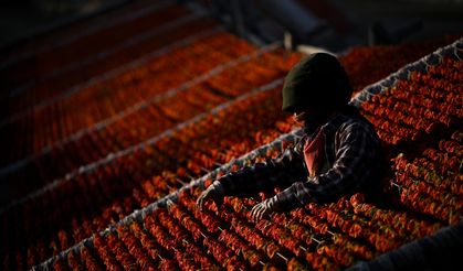 Antep'in kurutmalıkları kavurucu sıcakta lezzetine kavuşuyor