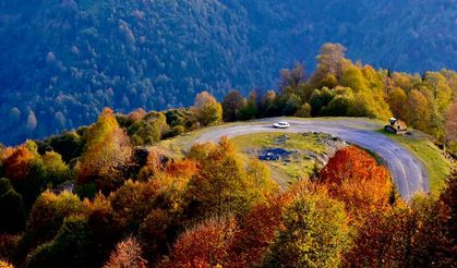 Borçka Karagöl Tabiat Parkı 600 binden fazla turisti ağırladı