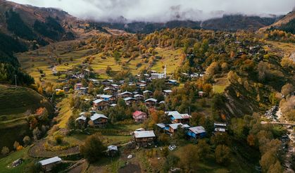 Artvin'in sonbaharda değişen renkleri