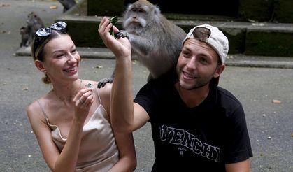 Kutsal Maymun Ormanı, her yıl çok sayıda turist ağırlıyor!