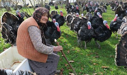 Alkollü içecekler ile tütünde ÖTV oranı artırıldı!